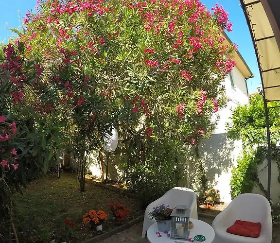 Bed and Breakfast Biscuit *