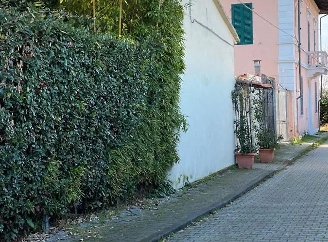 Biscuit Bed and Breakfast *