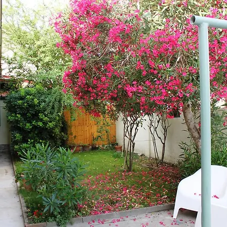 Bed & Breakfast Biscuit