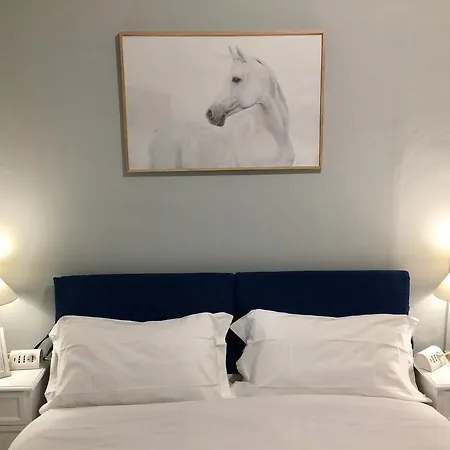 Bed & Breakfast Biscuit Pisa