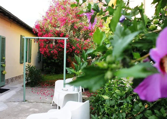 Biscuit לינה וארוחת בוקר