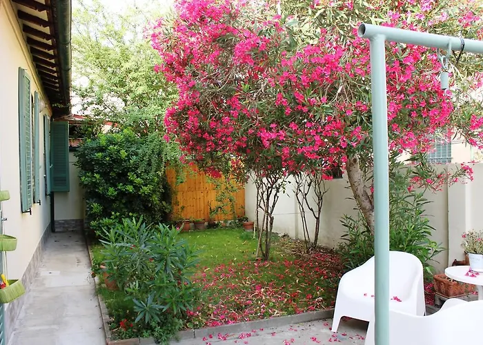 לינה וארוחת בוקר Biscuit