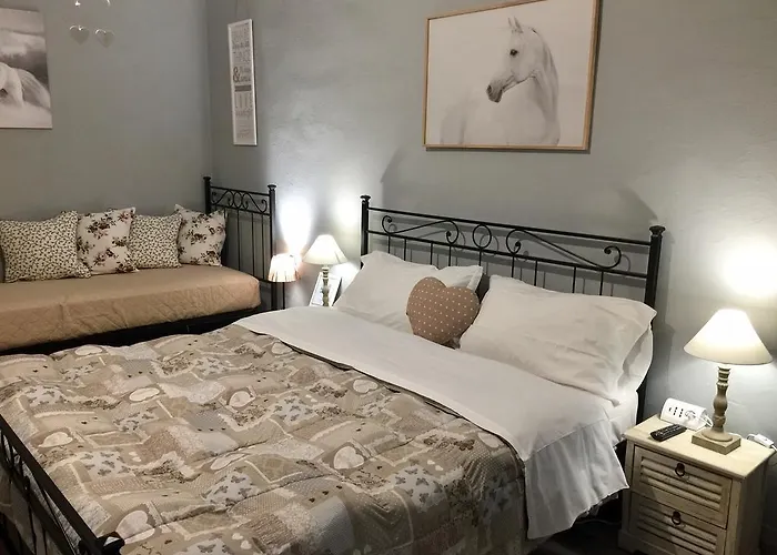 לינה וארוחת בוקר Biscuit *