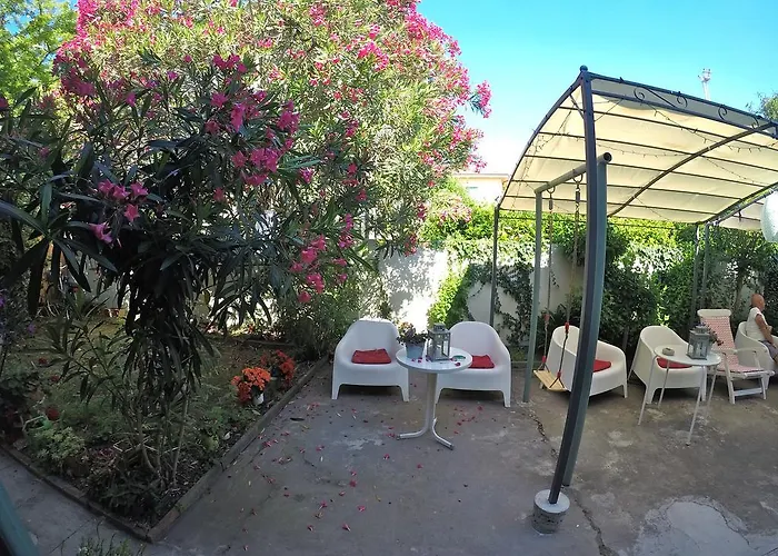 לינה וארוחת בוקר Biscuit *