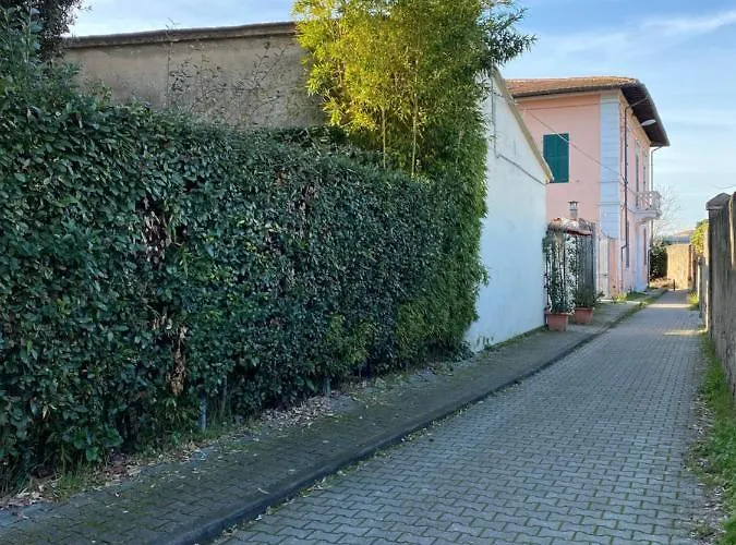 Biscuit לינה וארוחת בוקר פיזה