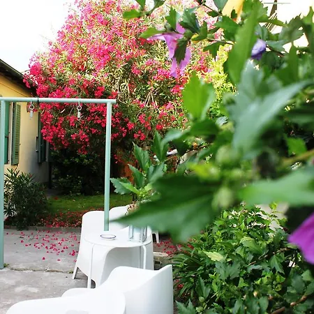 Biscuit Nocleg ze śniadaniem